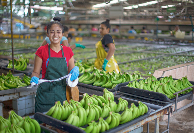 Exportaciones bananeras alcanzaron 120 millones de cajas en 2019 Corbana