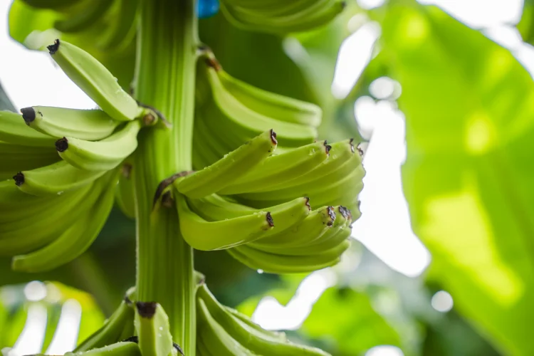 Foto Centro Documentación y Archivo