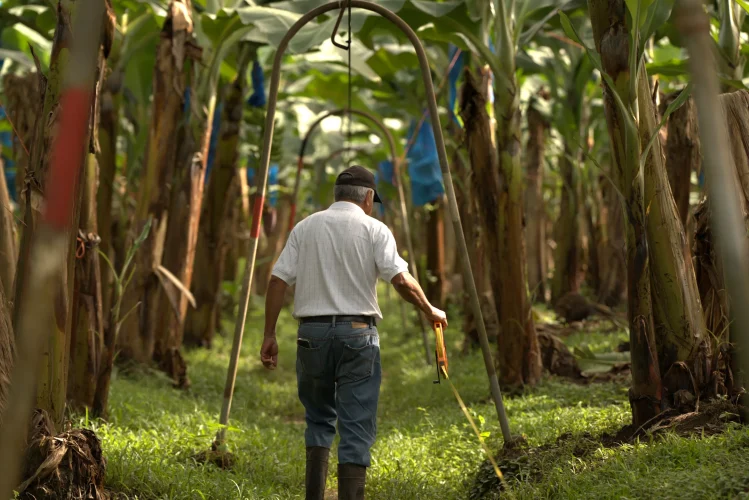 Foto servicios al empresario