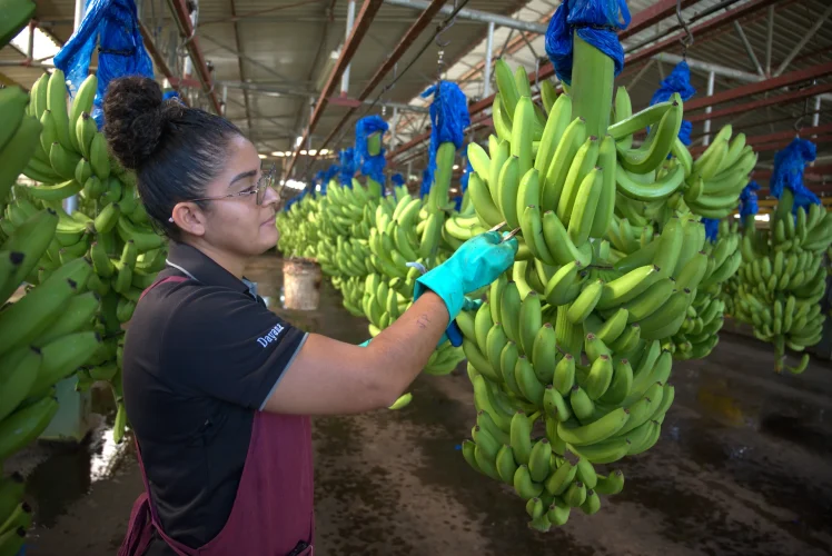 Inteligencia de Negocios (1)