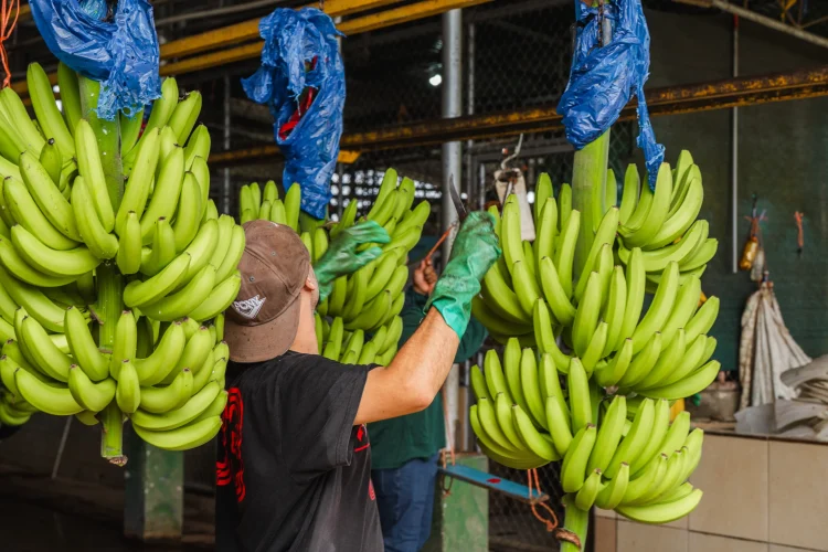 Rendición de Cuentas